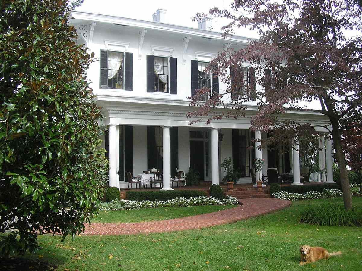 9 Best Native Plants for Louisville Wikilawn