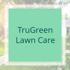 Lawn Care Mowing Services In Albany Ny, Trugreen Albany Ny