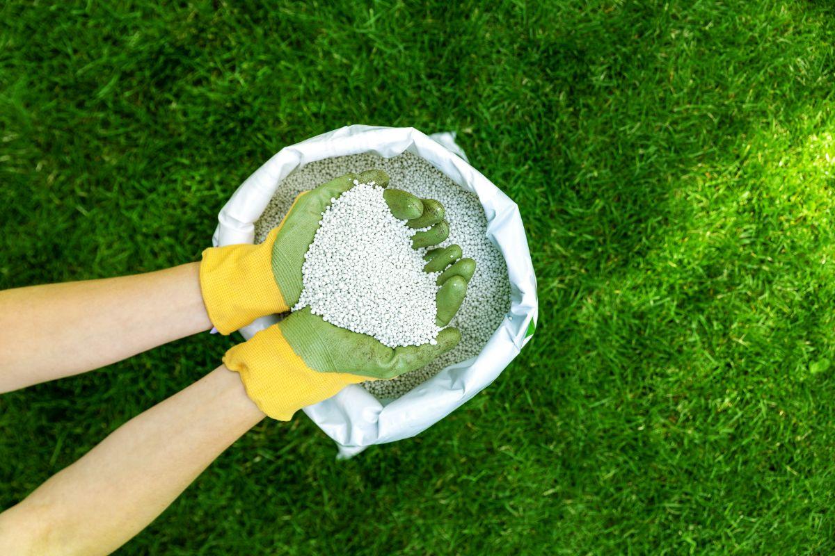 What To Know About Fertilizing Your Lawn In Ohio Wikilawn