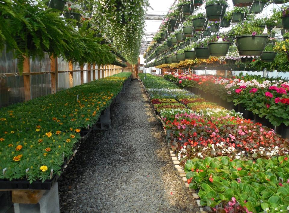 The 40 Top Plant Nurseries In Us, Leaf Landscape Supply North Austin