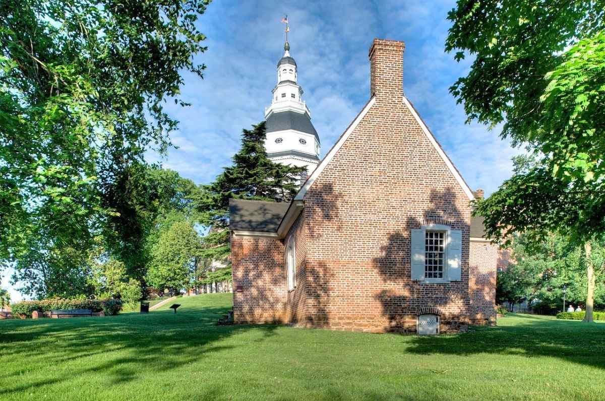 7 Best Grass Types for Maryland