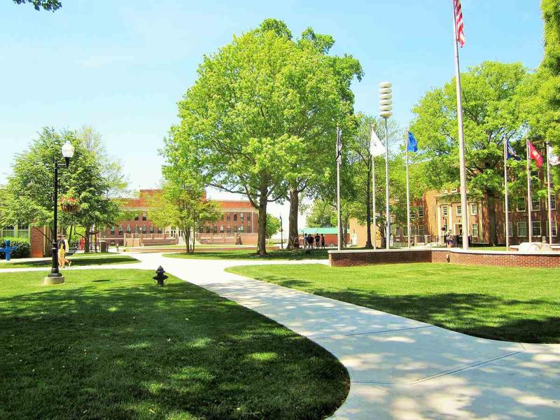 The Best Grass Seed for Your Eastern Tennessee Lawn Wikilawn