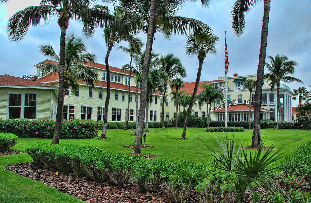 7 Best Grass Types for Florida Wikilawn