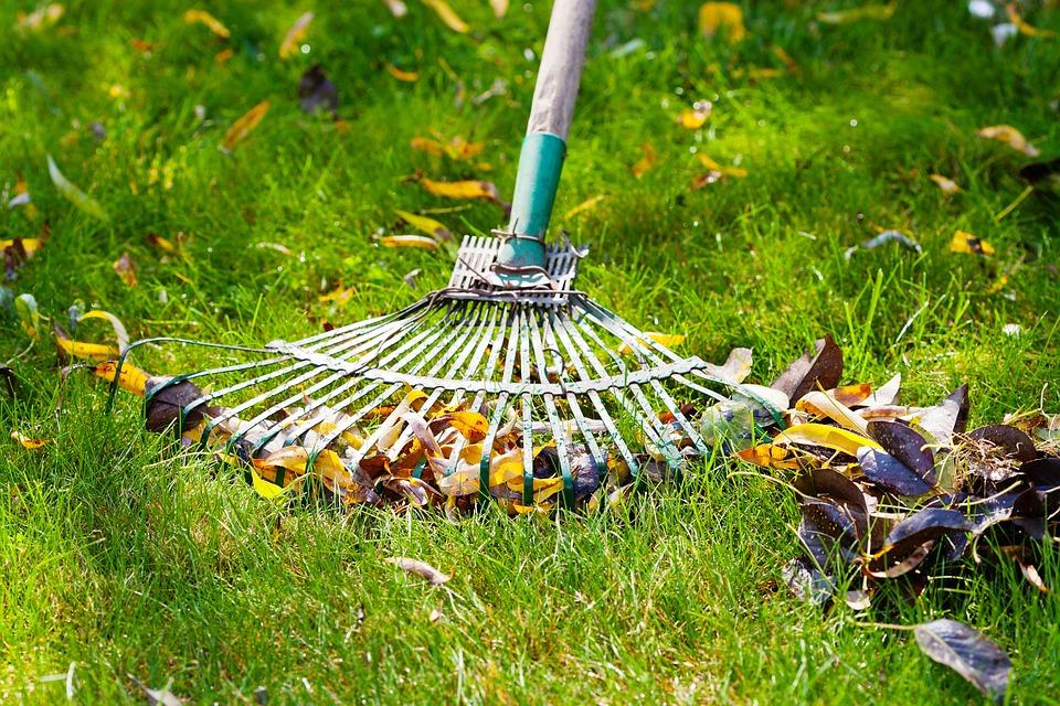 4 Pros and Cons of DIY Lawn Care in Washington, DC | Wikilawn