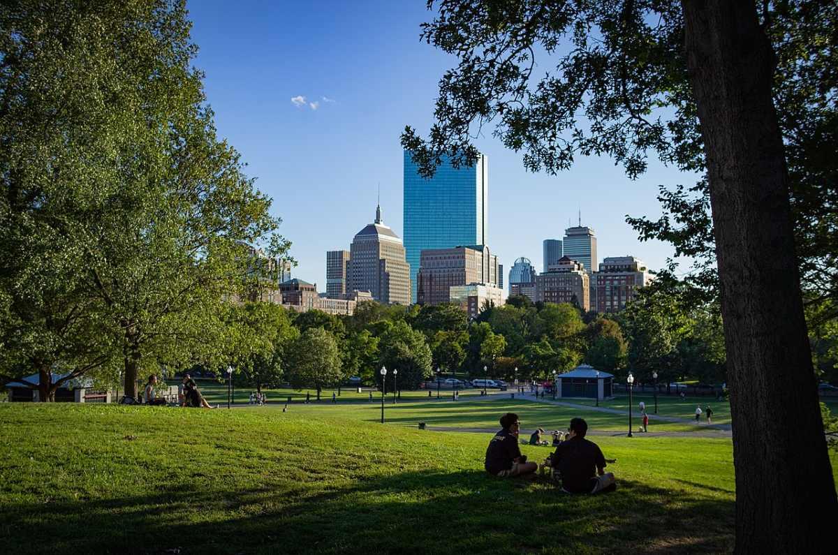 5 Best Grass Seed Types for Massachusetts Wikilawn