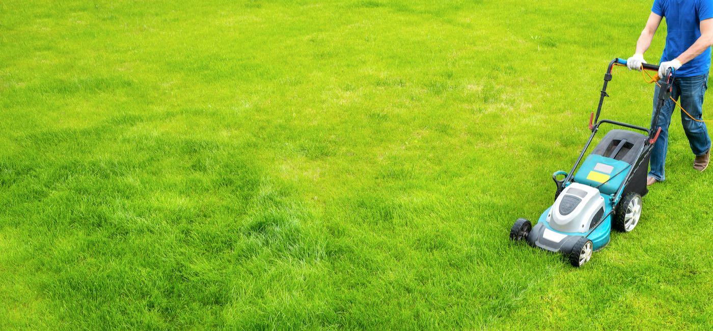 3 Best Lawn Care Services in Pembroke Pines, FL - Expert Recommendations