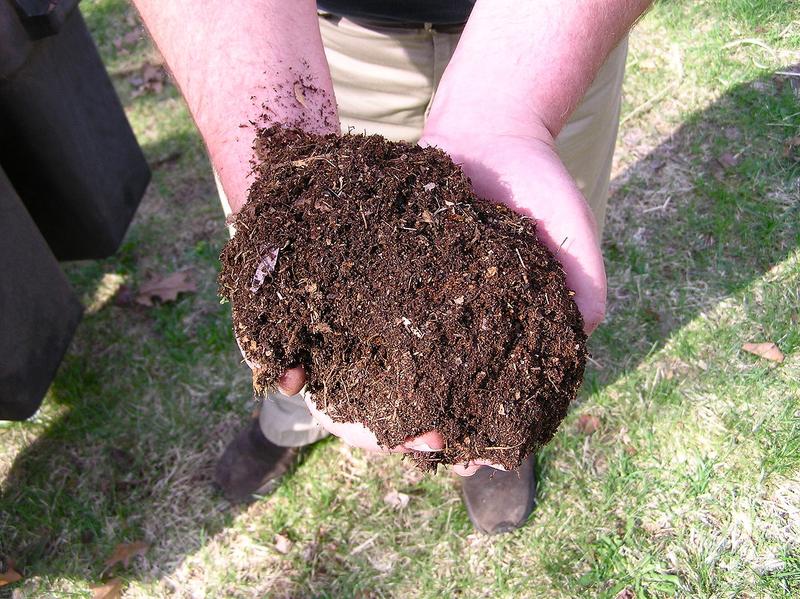 Benefits of Composting for Your Lawn Wikilawn