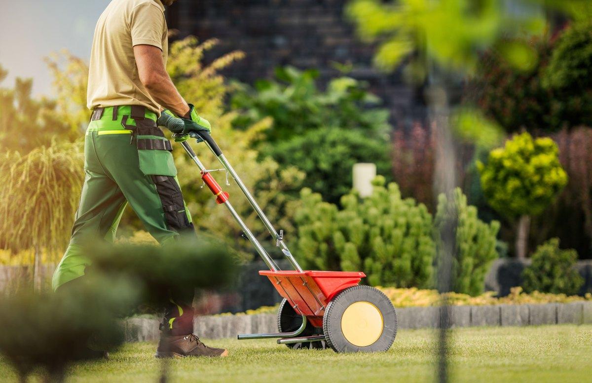 The Ideal Lawn Fertilizer Schedule Wikilawn the-ideal-lawn-fertilizer-schedule-wikilawn