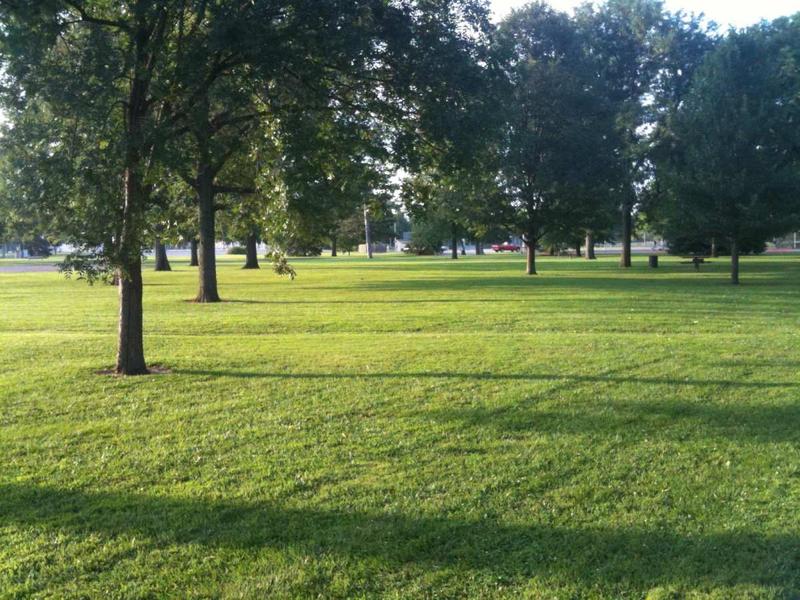 5 Best Grass Seeds for Kansas